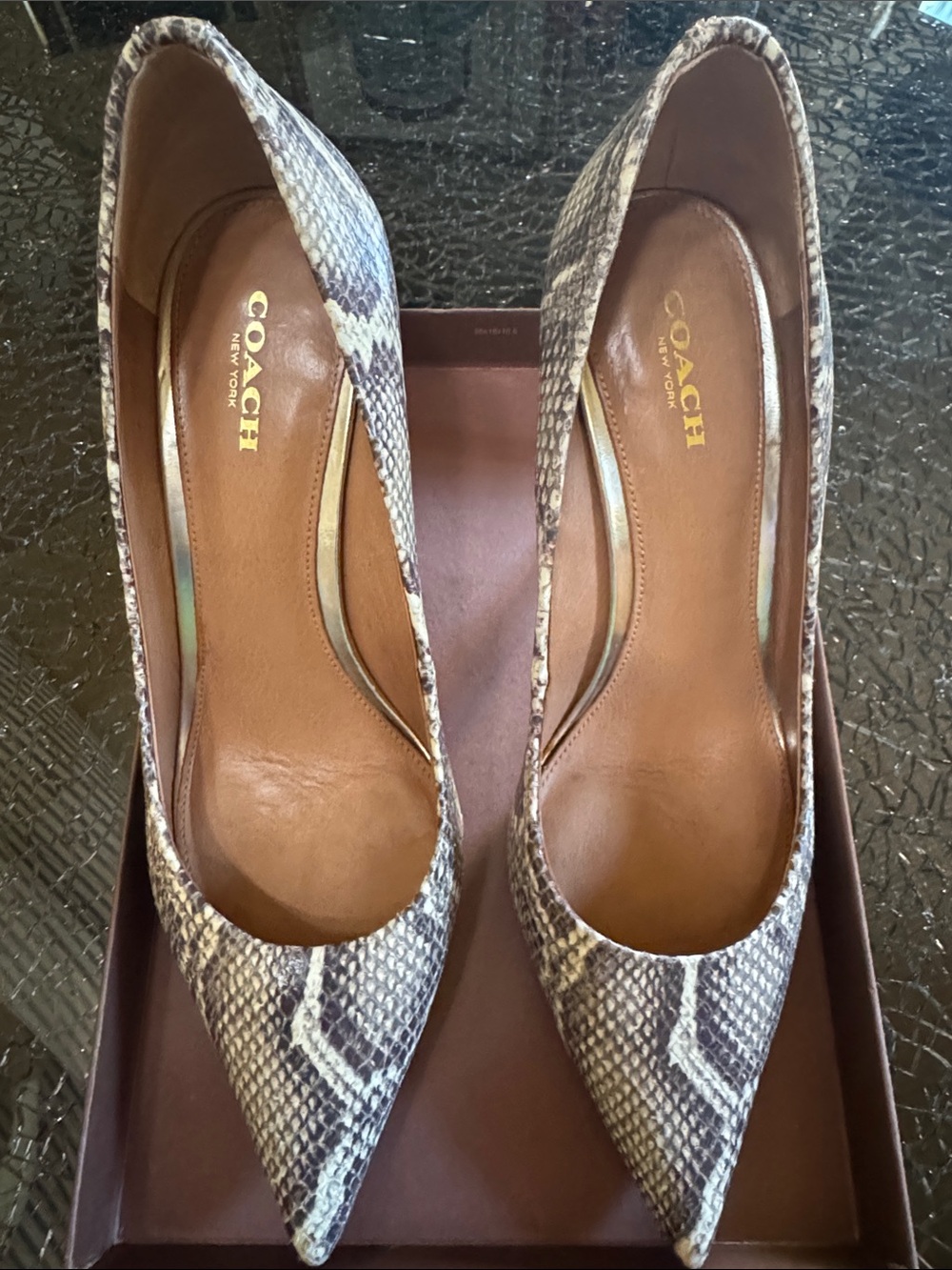 Coach Snake-Print Pointed Toe Pumps in Brown and Cream